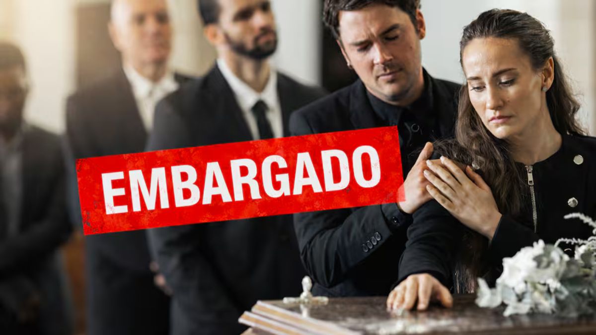 Frutos secos: cuáles elegir para cuidar...